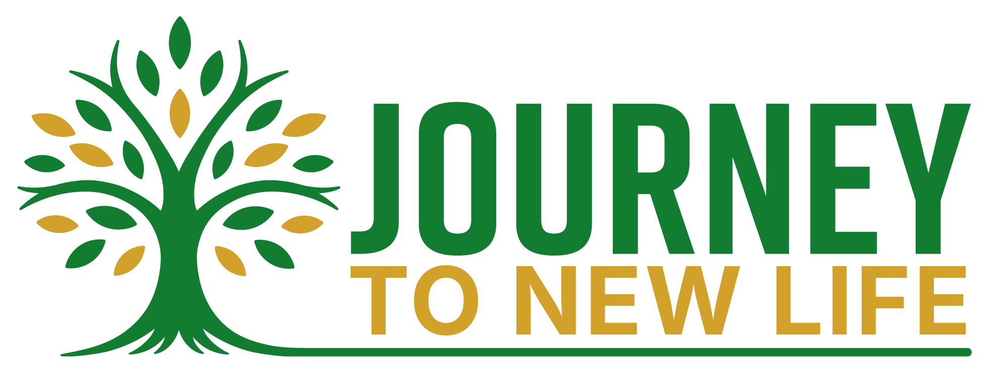 Journey to a New Life logo