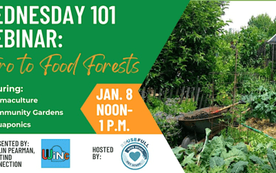 Watch our latest Wednesday 101 Webinar: Intro to Food Forests