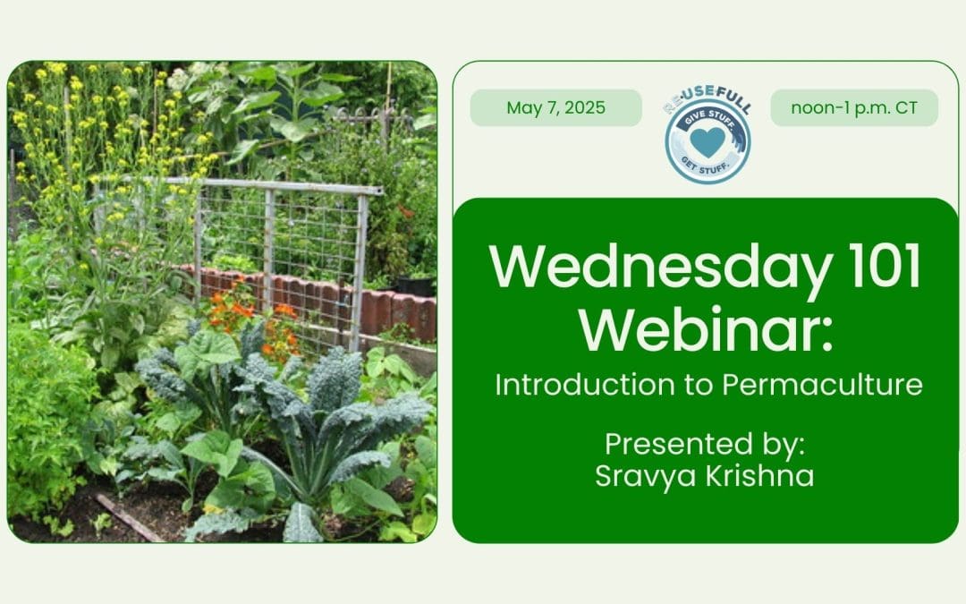Wednesday 101 Webinar: Introduction to Permaculture