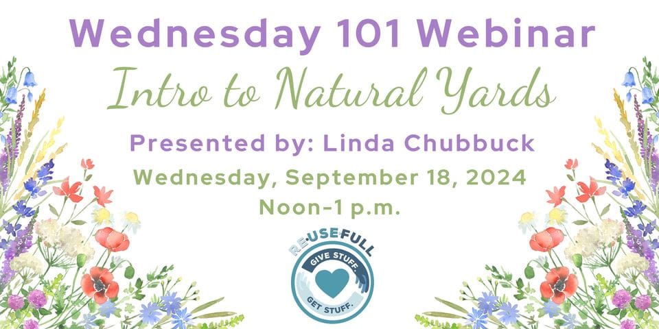 Wednesday 101 Webinar: Intro to Natural Yards